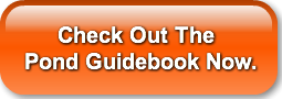 check-out-the-pond-guidebook-now