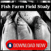 fish-farm-case-study-button-smaller