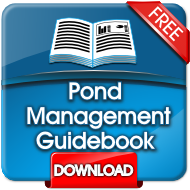 guidebook