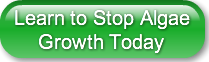 Learn to Stop Algae     Growth Today