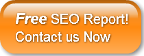 free-seo-reportcontact-us-now