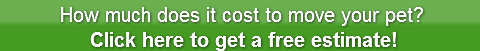 how-much-does-it-cost-to-move-your-pet