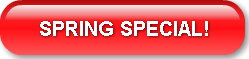 SPRING SPECIAL!