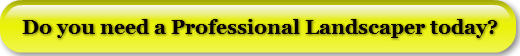Do you need a Professional Landscaper to