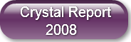 crystal-report-2008