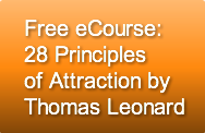 free-ecourse28-principlesof-attraction