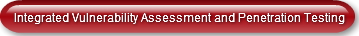 integrated-vulnerability-assessment-and