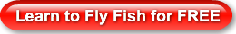 learn-to-fly-fish-for-free