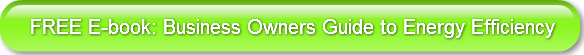 FREE E-book: Business Owners Guide to En