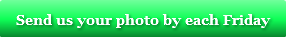 send-us-your-photo-by-each-friday