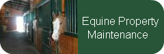                             Equine Prope