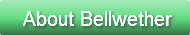 learn about leader procurement software bellwether