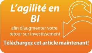 agiledss-homecta-wp-agilebi-fr