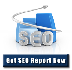 free-seo-report