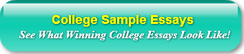 college-sample-essays-see-wh