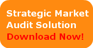 strategic-marketaudit-solutiondownload-n