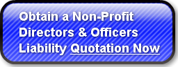 obtain-a-non-profit-directors-amp-offi
