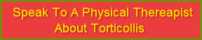 Click To Schedule A Torticollis Consultation