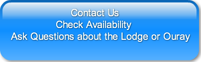 contact-us