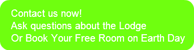 contact-us-nowask-questions-about-the-l