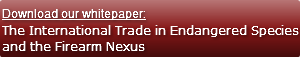 Download our whitepaper:The Internationa