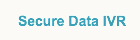 Secure Data IVR