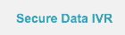 Secure Data IVR