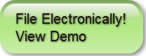 file-electronically-view-demo