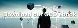 download-our-ceo-ebook