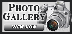 photo_gallery_view_now