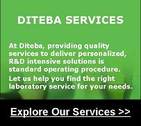 Diteba_Services_203px