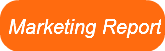 marketing-report