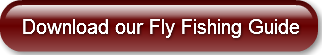 download-our-fly-fishing-guide