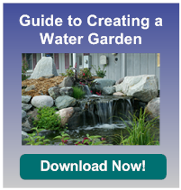 cta-water-garden2