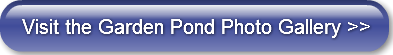 visit-the-garden-pond-photo-gallery