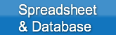spreadsheet-amp-database