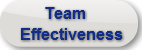       TeamEffectiveness