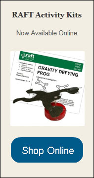 shop-online-gravity