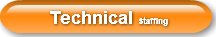 Technical Staffing