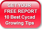    GET YOUR FREE REPORT 10 Best Cycad Gr