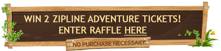 cta-button-zipline-offer-b
