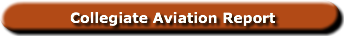 Collegiate Aviation Report