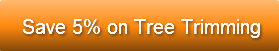 Save 5% on Tree Trimming