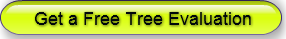 get-a-free-tree-evaluation