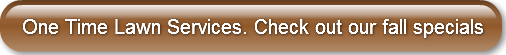 one-time-lawn-services-check-out-our-fa