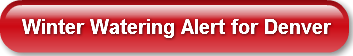 winter-watering-alert-for-denver