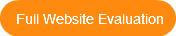 Full Website Evaluation