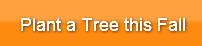 plant-a-tree-this-fall