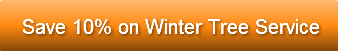 save-10-on-winter-tree-service