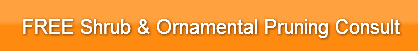 free-shrub-ornamental-pruning-consult